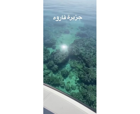 Rent a mini yacht 35 feet - Halat Alzour Mobile: 96696889